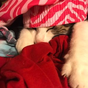 Meet your Posher, Chloe